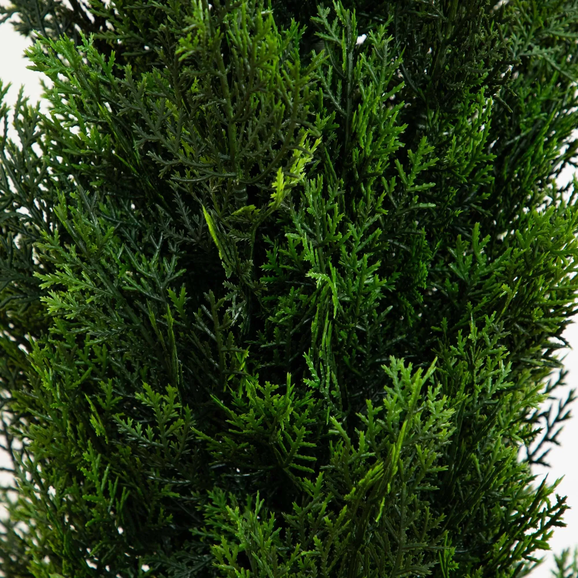 5' Mini Cedar Pine Tree (Indoor/Outdoor)