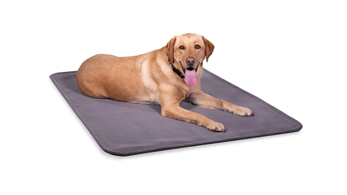 Tough Ripstop™ Dog Blanket